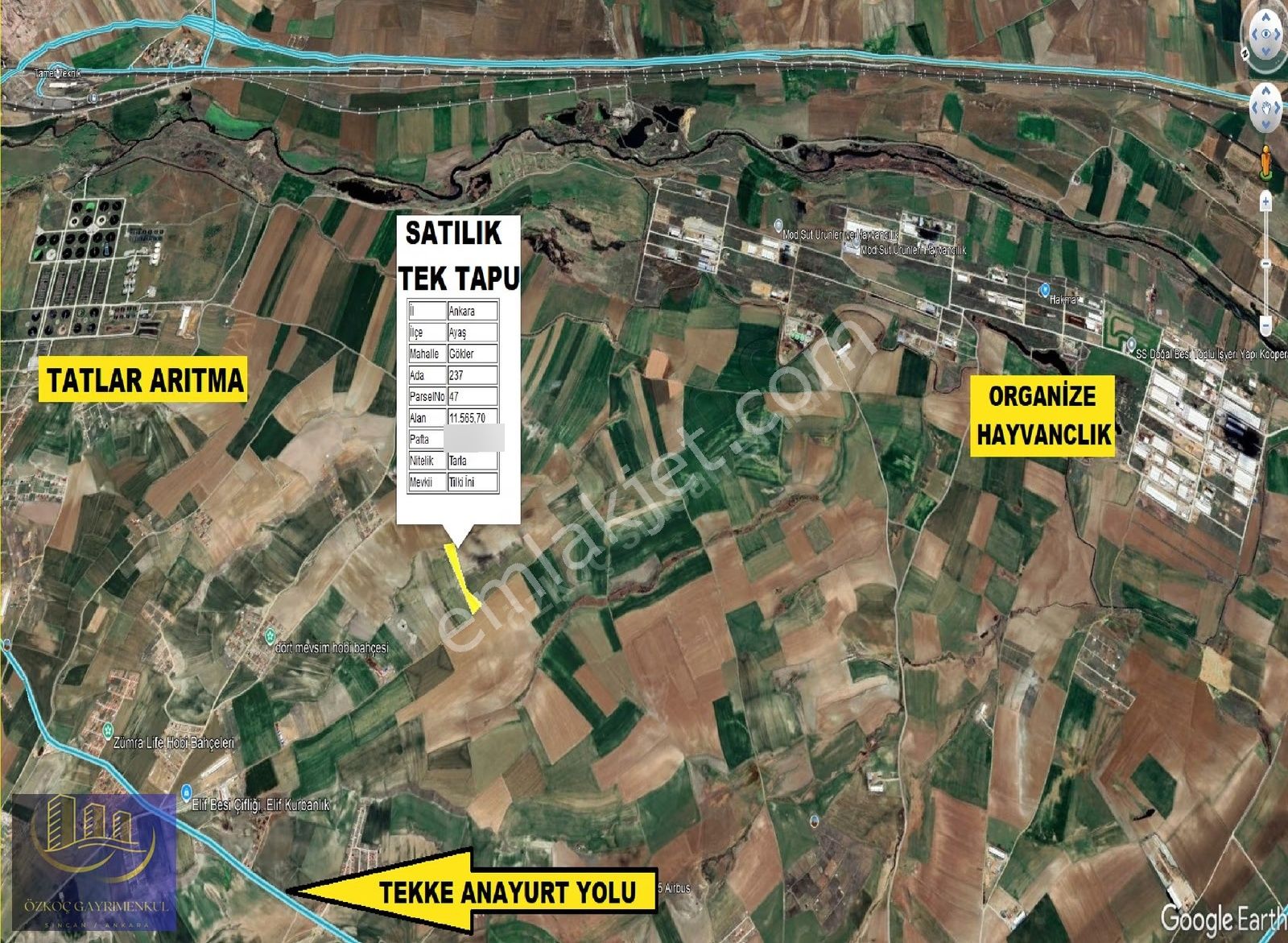 Ayaş Gökler'de Yol Cephe 11.550 M2 Tek Tapu Yatırımlık Arazi