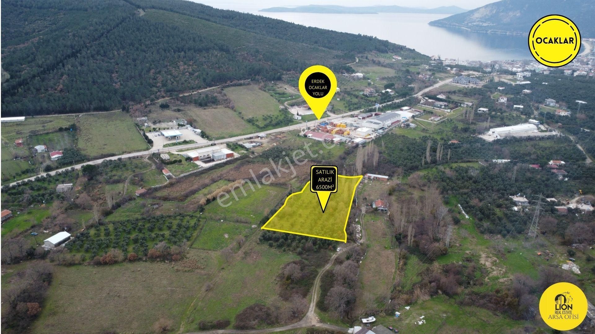 🟨⬛lıon Emlak'tan Erdek Ocaklar Mahallesi Ana Yola Yakın 6500m² Satılık Zeytinlik⬛🟨