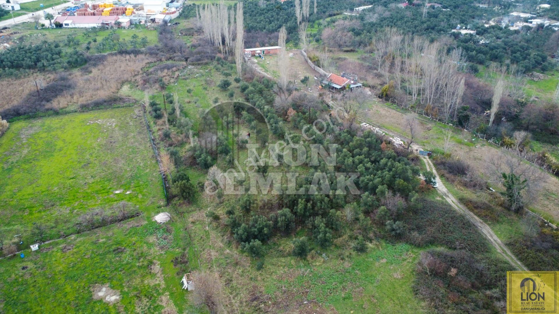 🟨⬛lıon Emlak'tan Erdek Ocaklar Mahallesi Ana Yola Yakın 6500m² Satılık Zeytinlik⬛🟨 - Görsel 9