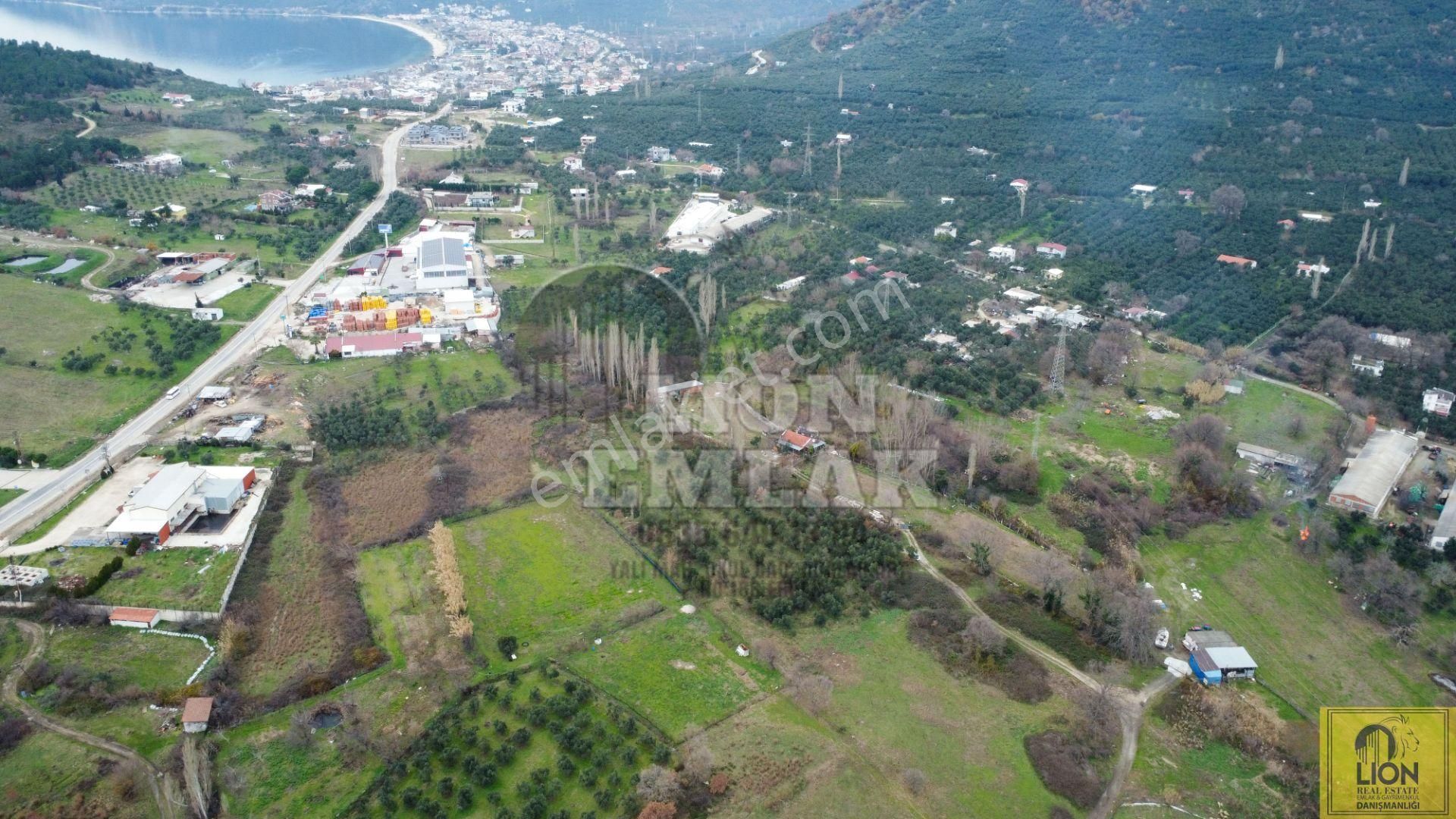 🟨⬛lıon Emlak'tan Erdek Ocaklar Mahallesi Ana Yola Yakın 6500m² Satılık Zeytinlik⬛🟨 - Görsel 2