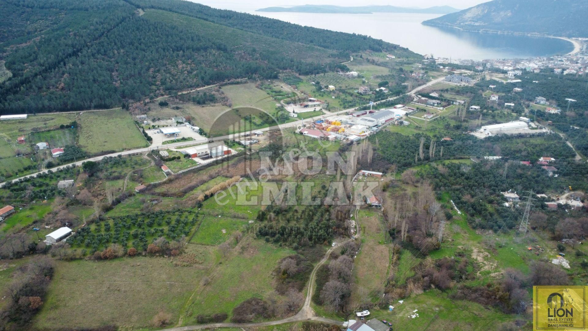 🟨⬛lıon Emlak'tan Erdek Ocaklar Mahallesi Ana Yola Yakın 6500m² Satılık Zeytinlik⬛🟨 - Görsel 4