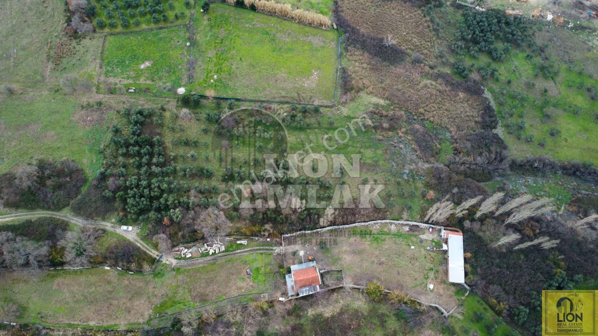 🟨⬛lıon Emlak'tan Erdek Ocaklar Mahallesi Ana Yola Yakın 6500m² Satılık Zeytinlik⬛🟨 - Görsel 10