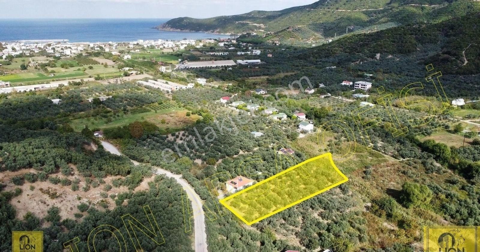 🟨⬛lıon Emlak'tan Erdek Turan Mahallesinde 2338 M² Fırsat Satılık Zeytinlik🟨⬛ - Görsel 4