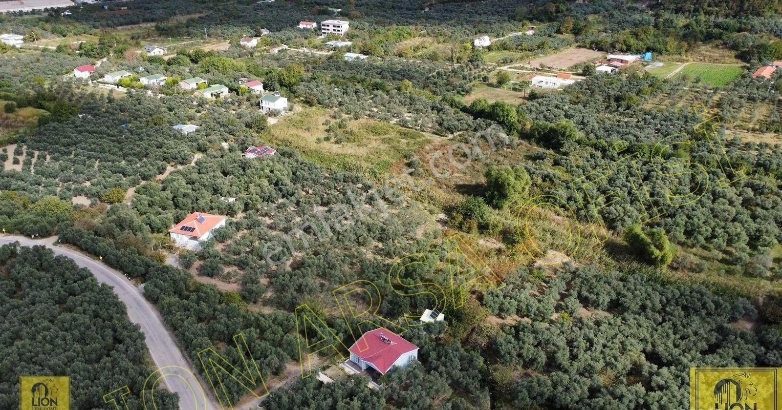 🟨⬛lıon Emlak'tan Erdek Turan Mahallesinde 2338 M² Fırsat Satılık Zeytinlik🟨⬛ - Görsel 11