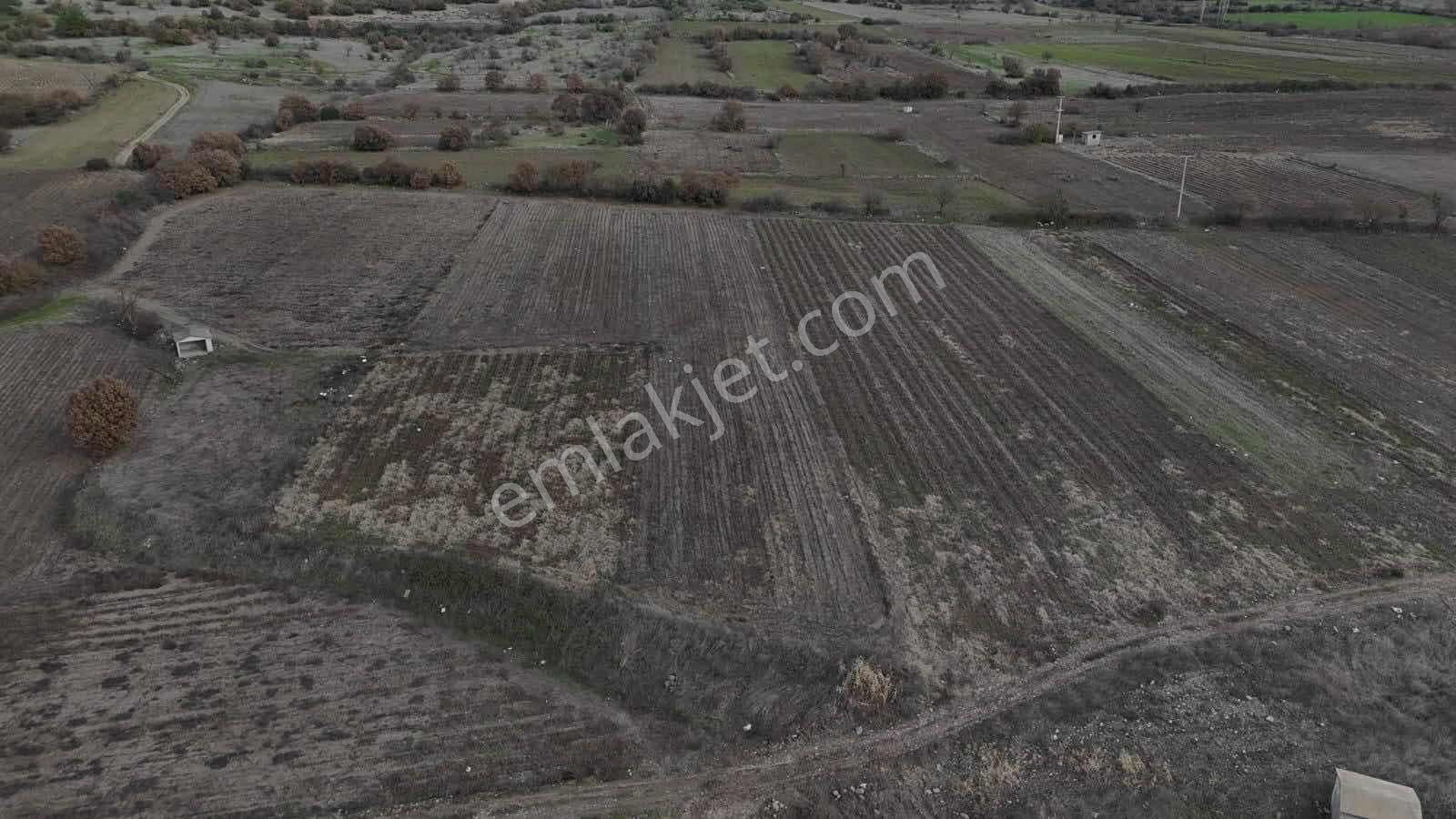 Bigadiç Yolbaşında Telefon Parasına 2 Adet Bahçe