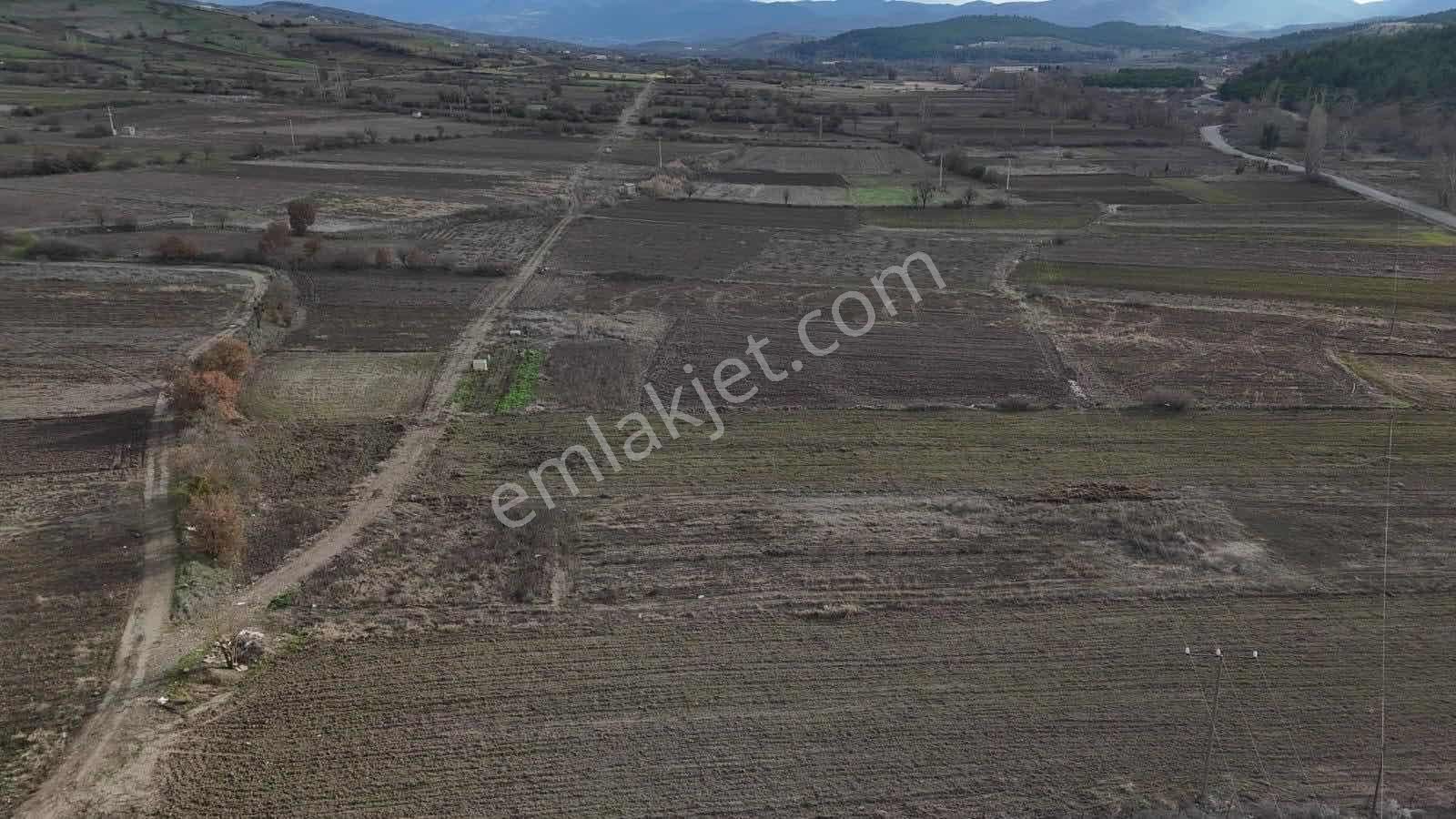 Bigadiç Yolbaşında Telefon Parasına 2 Adet Bahçe - Görsel 15