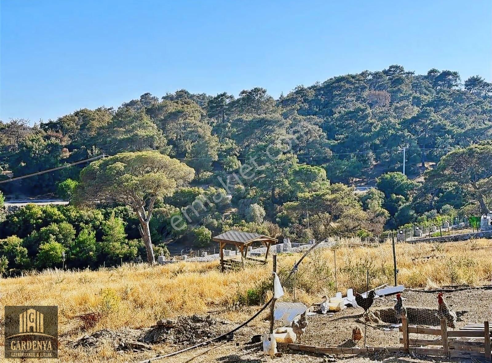 Bağrası Aslanyaylasın Da 300 M2 Arsa - Görsel 23