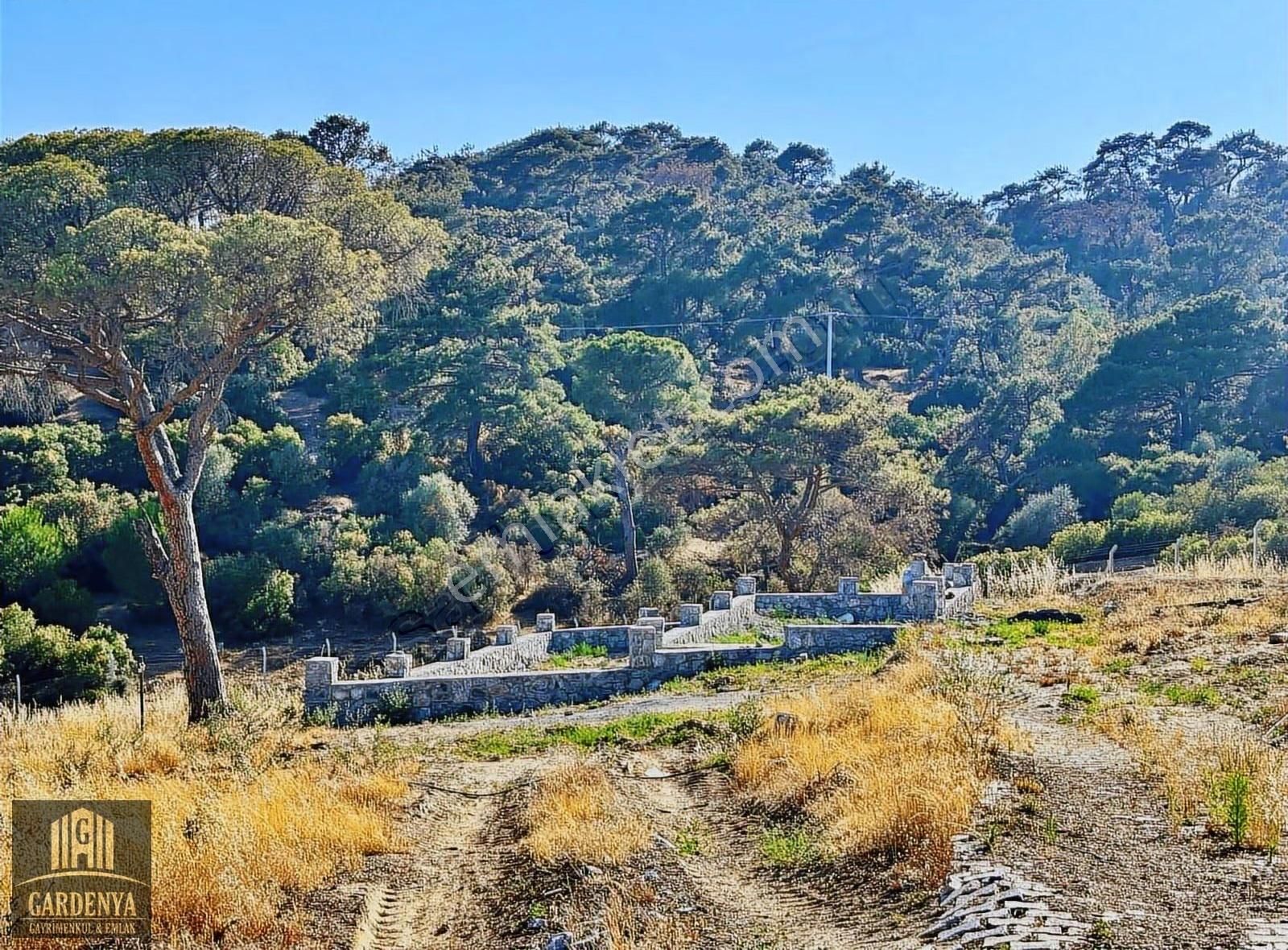 Bağrası Aslanyaylasın Da 300 M2 Arsa - Görsel 2