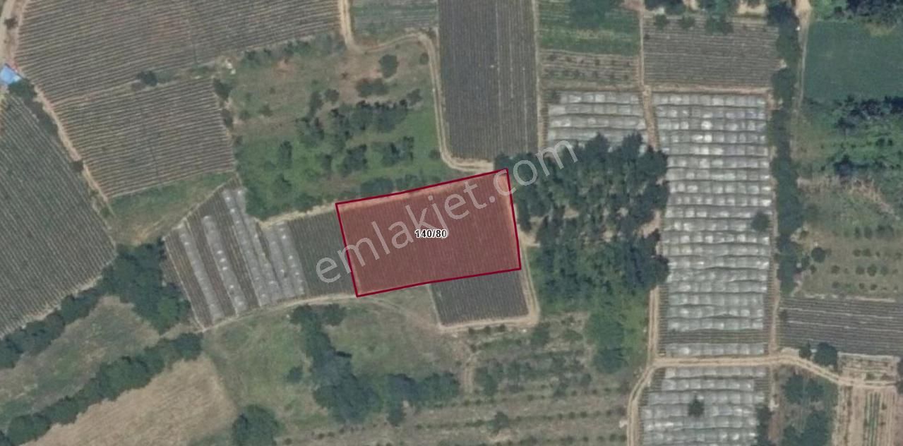 İnegöl Kurşunlu Mahallesinde Yerleşime Yakın 1.712 M² Hobi Bahçesine Uygun Tarla