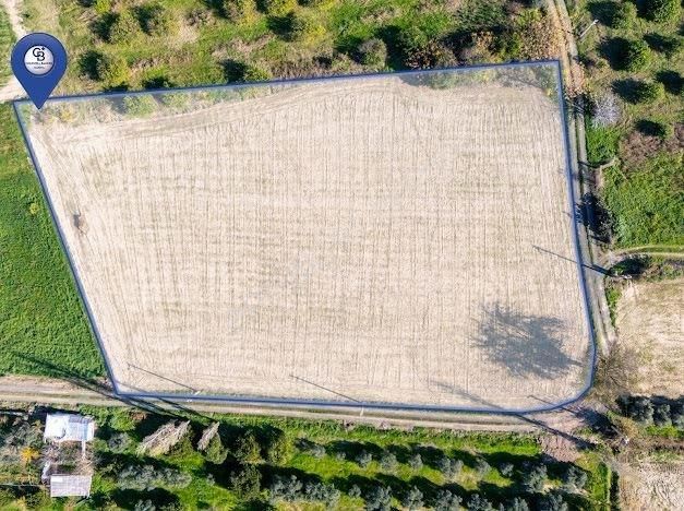 Muğla Ortaca Fevzıye De Yatırım Fırsatı Sunan 5.6 Dönüm Tarla - Görsel 2