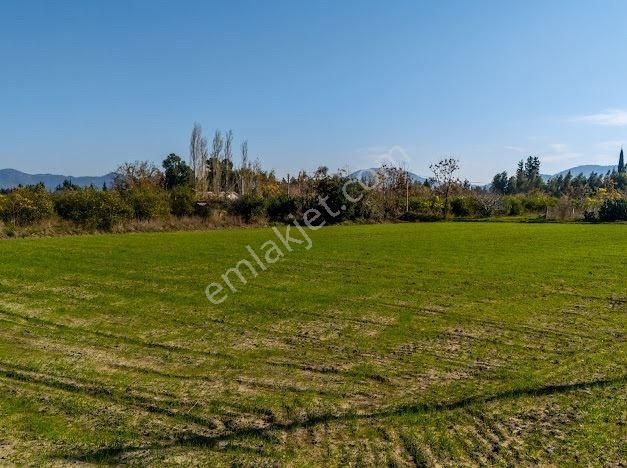 Muğla Ortaca Fevzıye De Yatırım Fırsatı Sunan 5.6 Dönüm Tarla - Görsel 14