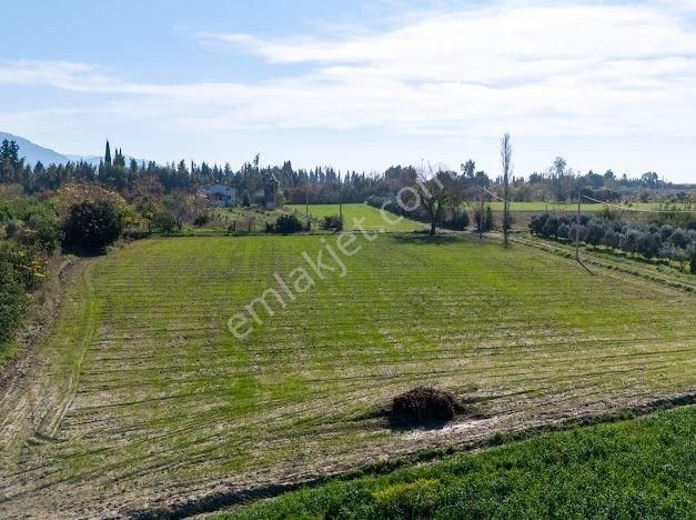 Muğla Ortaca Fevzıye De Yatırım Fırsatı Sunan 5.6 Dönüm Tarla - Görsel 12