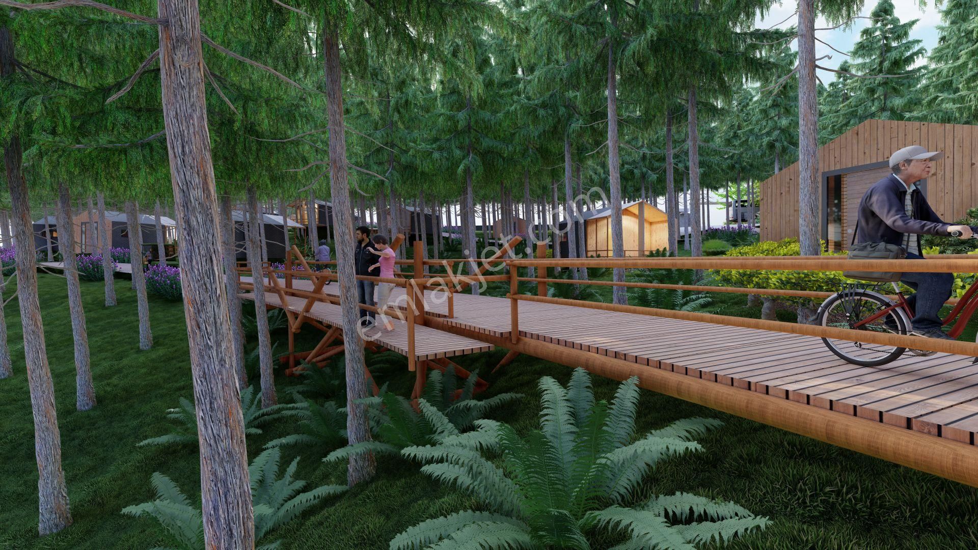 Trabzon Çağlayan Çamlık Orman Parkı Bungalov Ve Restorant Alanı - Görsel 13