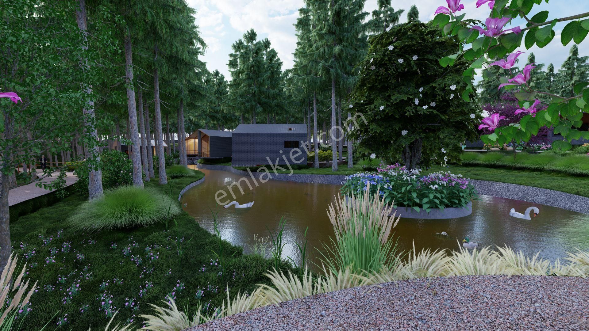 Trabzon Çağlayan Çamlık Orman Parkı Bungalov Ve Restorant Alanı - Görsel 11