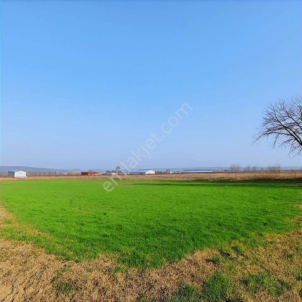 Balabancık'ta Top Sahası Gibi Dümdüz, Yolu Olan Yatırımlık Tarla - Görsel 10