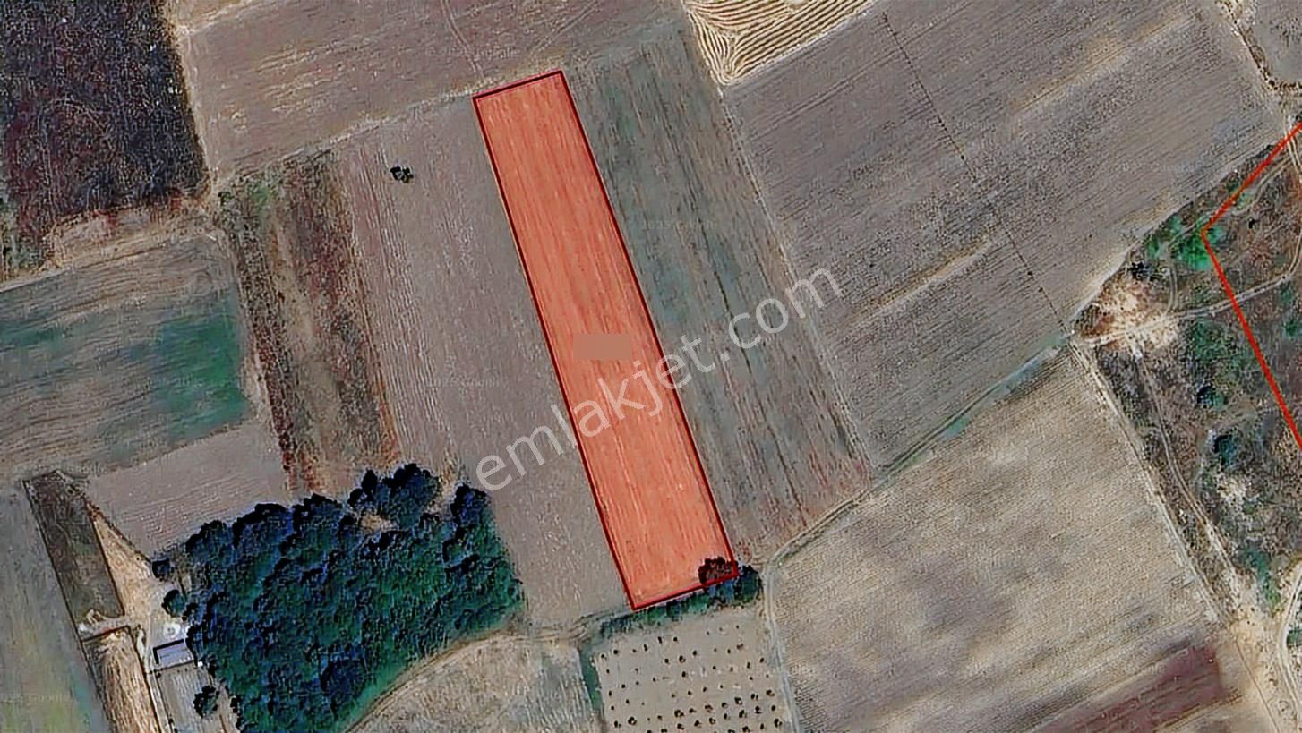 Balabancık'ta Top Sahası Gibi Dümdüz, Yolu Olan Yatırımlık Tarla - Görsel 8