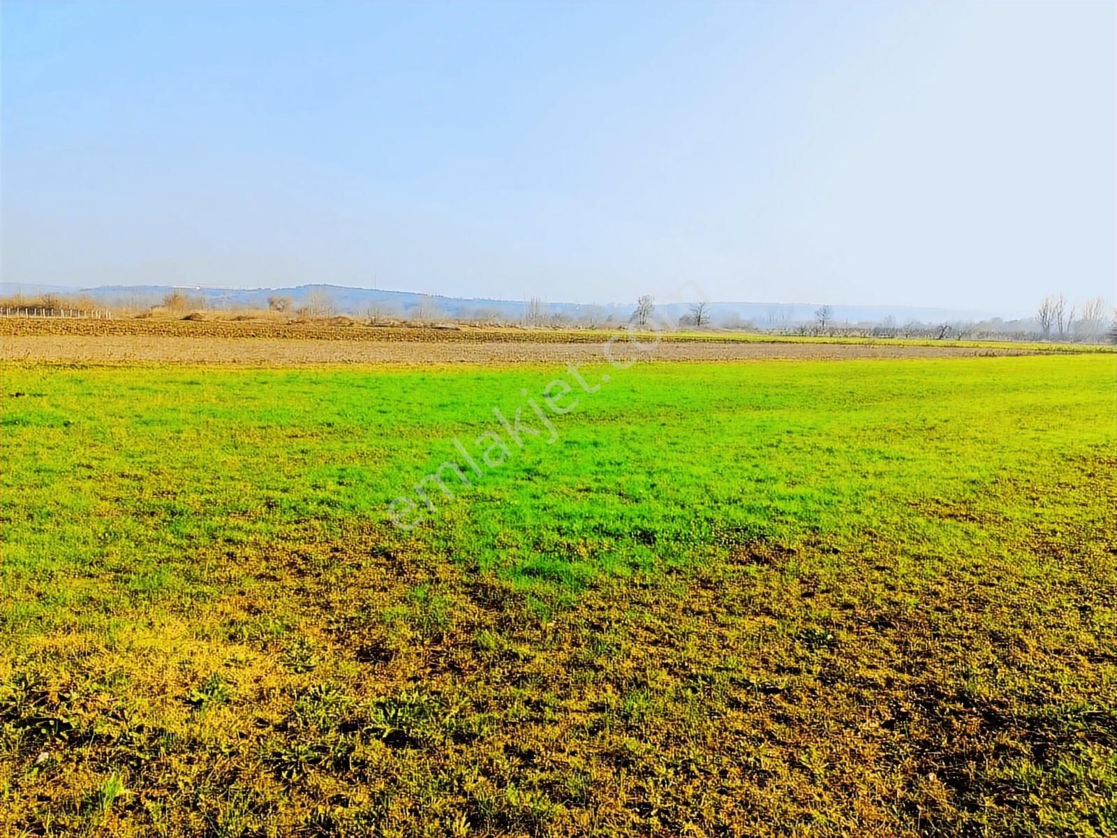Balabancık'ta Top Sahası Gibi Dümdüz, Yolu Olan Yatırımlık Tarla - Görsel 3