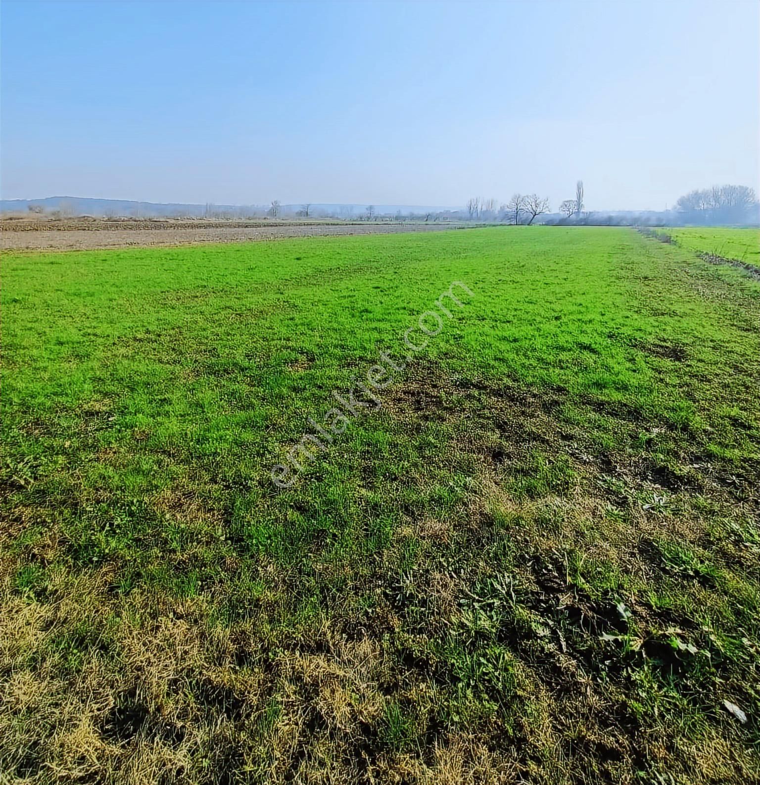 Balabancık'ta Top Sahası Gibi Dümdüz, Yolu Olan Yatırımlık Tarla - Görsel 2