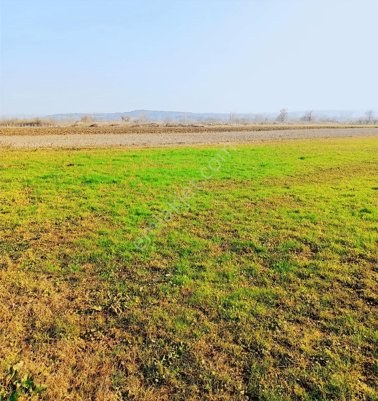 Balabancık'ta Top Sahası Gibi Dümdüz, Yolu Olan Yatırımlık Tarla - Görsel 6