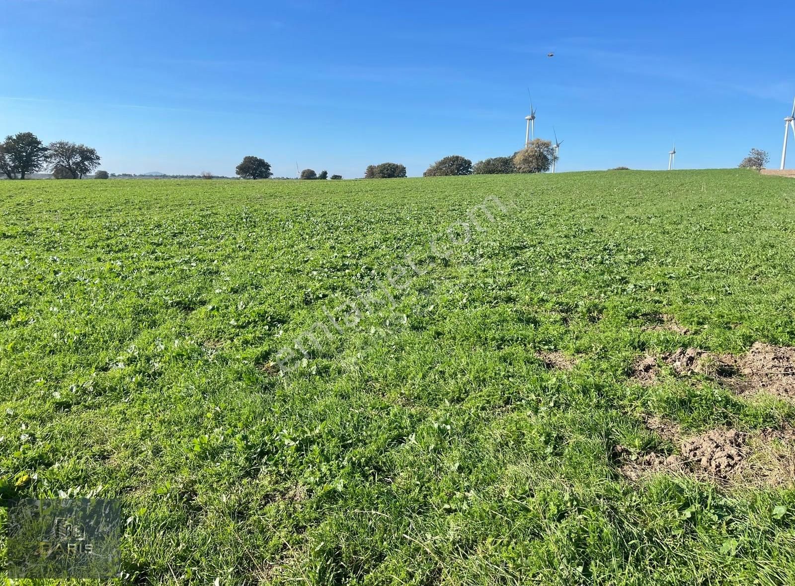 Çanakkale Ezine Üvecik Köyünde Satılık Hobi Bahçesi - Görsel 6