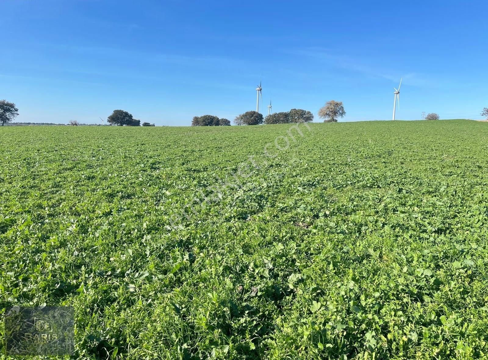 Çanakkale Ezine Üvecik Köyünde Satılık Hobi Bahçesi - Görsel 25