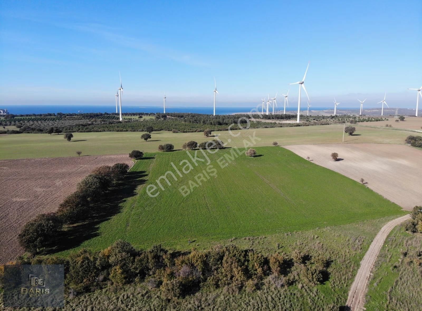 Çanakkale Ezine Üvecik Köyünde Satılık Hobi Bahçesi - Görsel 2