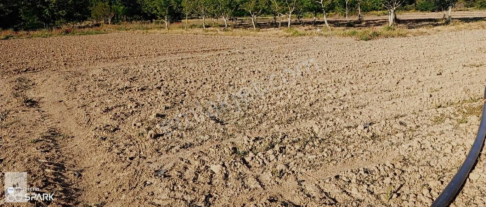 Bursa İnegöl Küçük Yeniceköyünde Satılık Tarla - Görsel 11