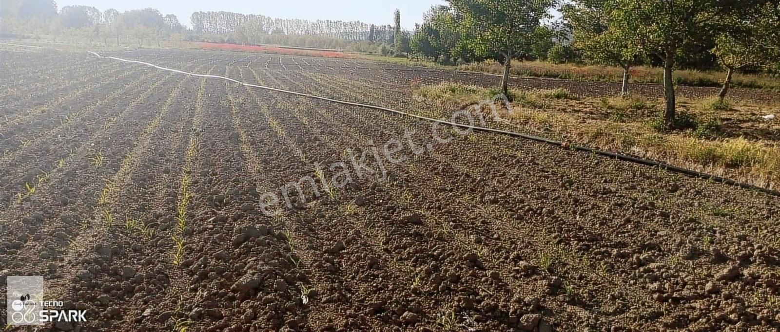 Bursa İnegöl Küçük Yeniceköyünde Satılık Tarla - Görsel 18