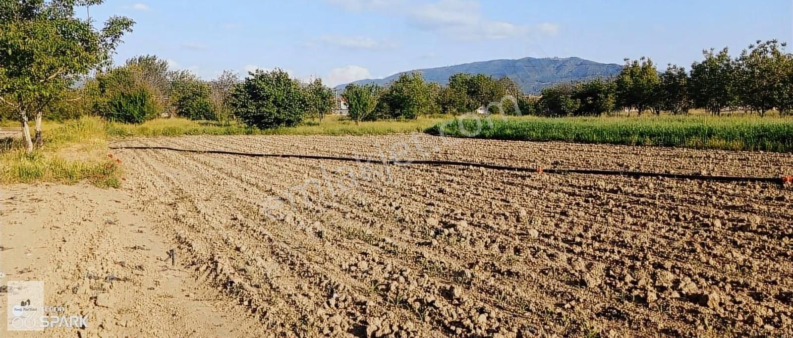 Bursa İnegöl Küçük Yeniceköyünde Satılık Tarla - Görsel 6