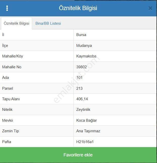 Mudanya'da Satılık Zeytinlik - Görsel 2