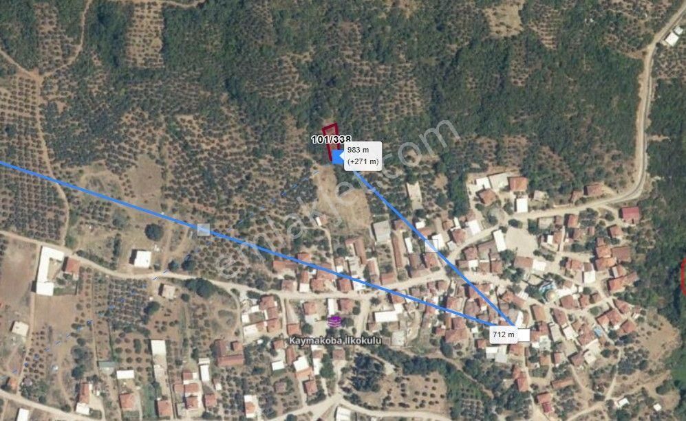 Bursa Mudanya Kaymakoba’da Yatırımlık 387 M² Zeytinlik - Görsel 2