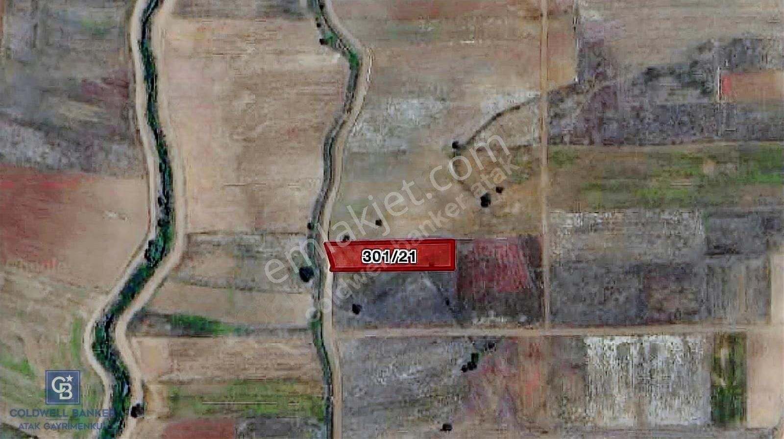 Muğla Seydikemerde Satılık 1.670 M2 Tarla