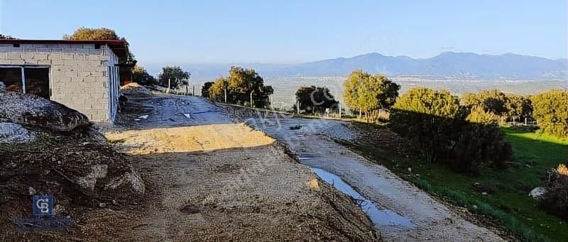 Aydın Çakırbeyli'de Eşsiz Arazi Adnan Menderes'in Meşhur Köyünde - Görsel 2