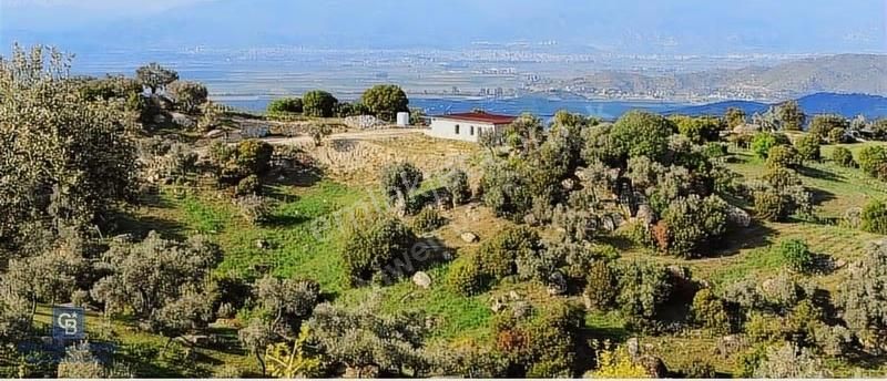 Aydın Çakırbeyli'de Eşsiz Arazi Adnan Menderes'in Meşhur Köyünde