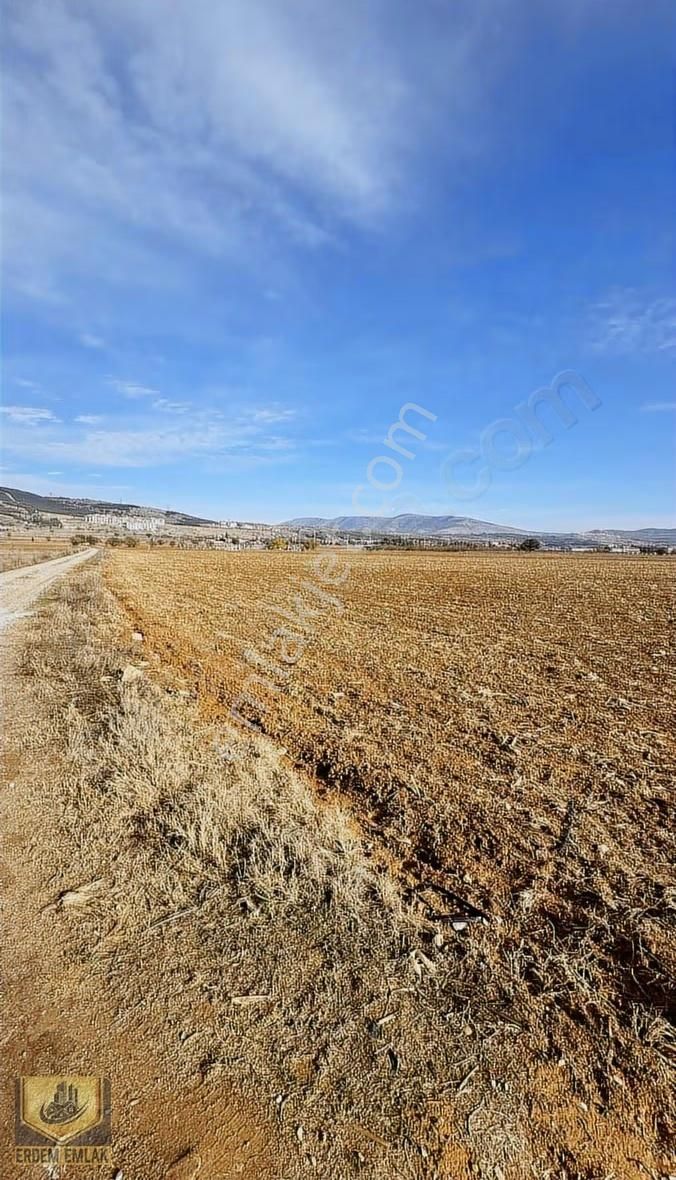 Çarşı Mahallesinde 28.000m Tarla Satılık