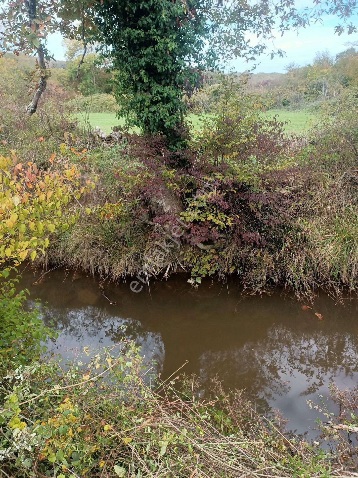 Acil Yatırımlık Veya Konteynır - Görsel 3