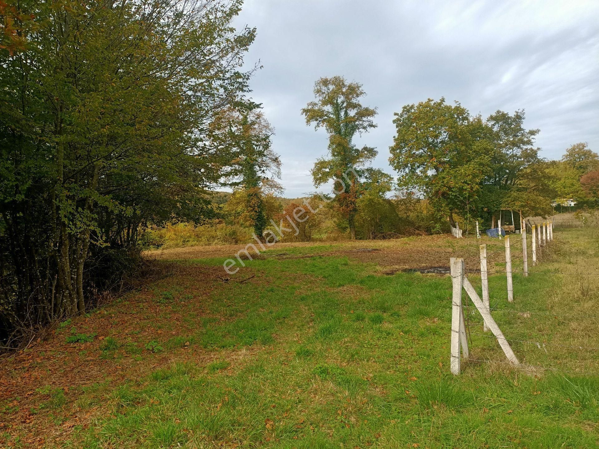 Acil Yatırımlık Veya Konteynır