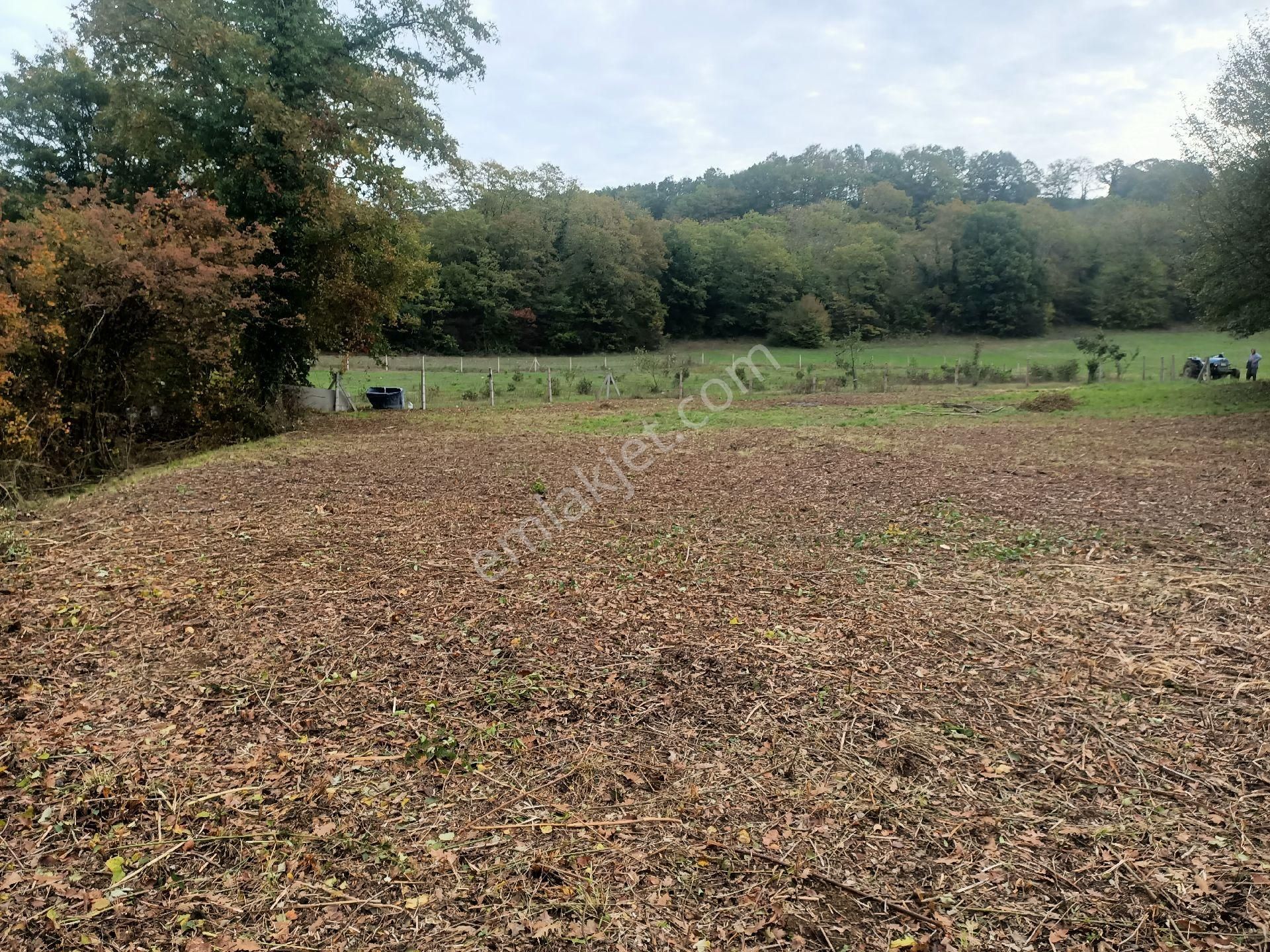 Acil Yatırımlık Veya Konteynır - Görsel 5