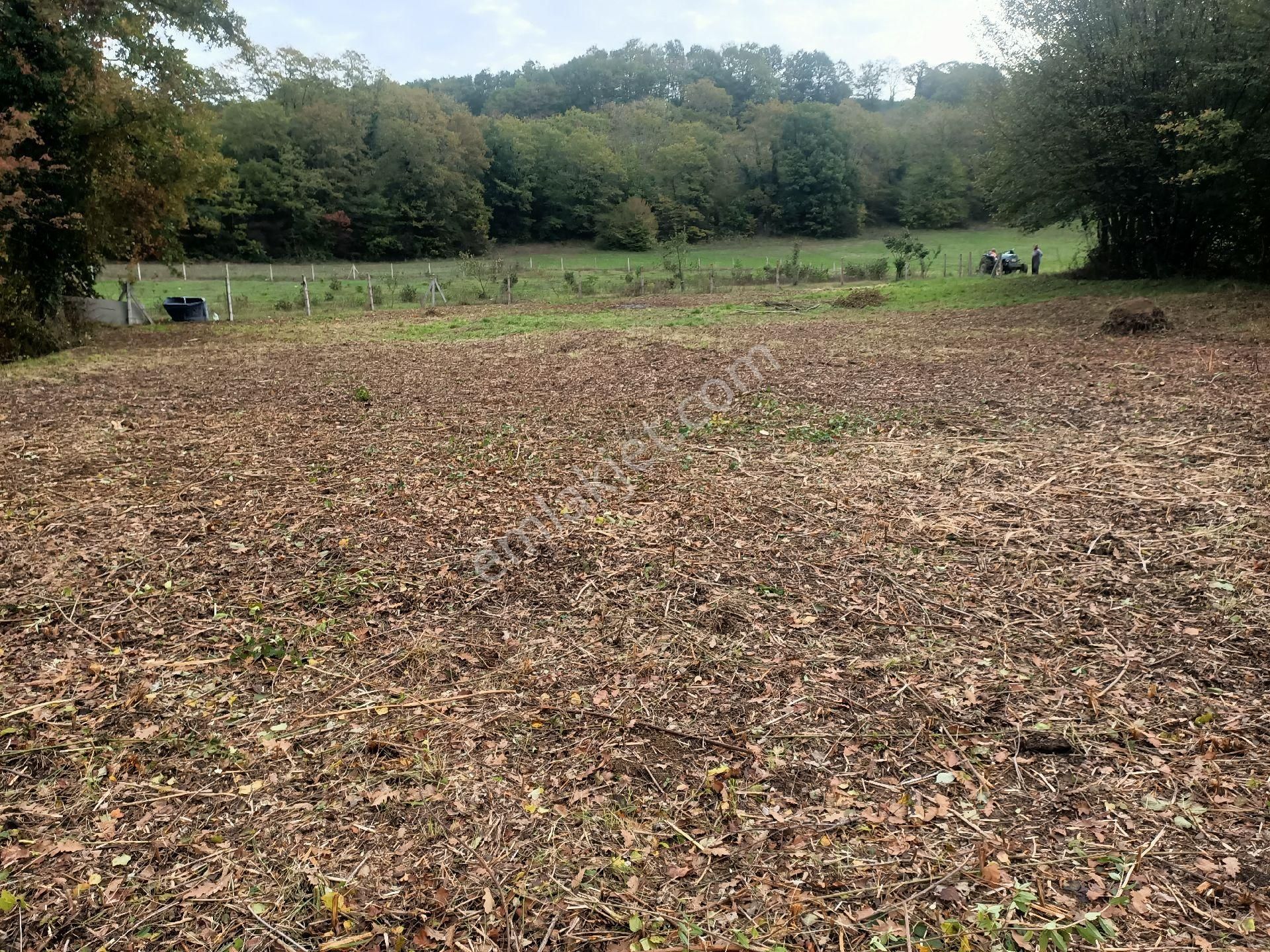 Acil Yatırımlık Veya Konteynır - Görsel 18