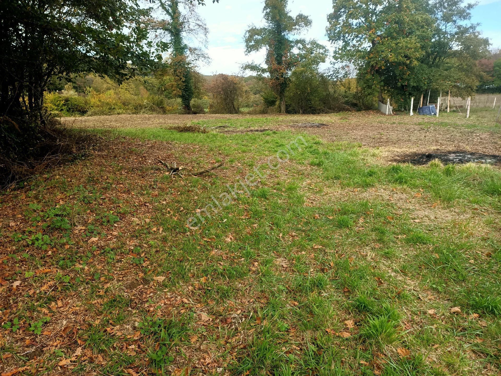 Acil Yatırımlık Veya Konteynır - Görsel 6