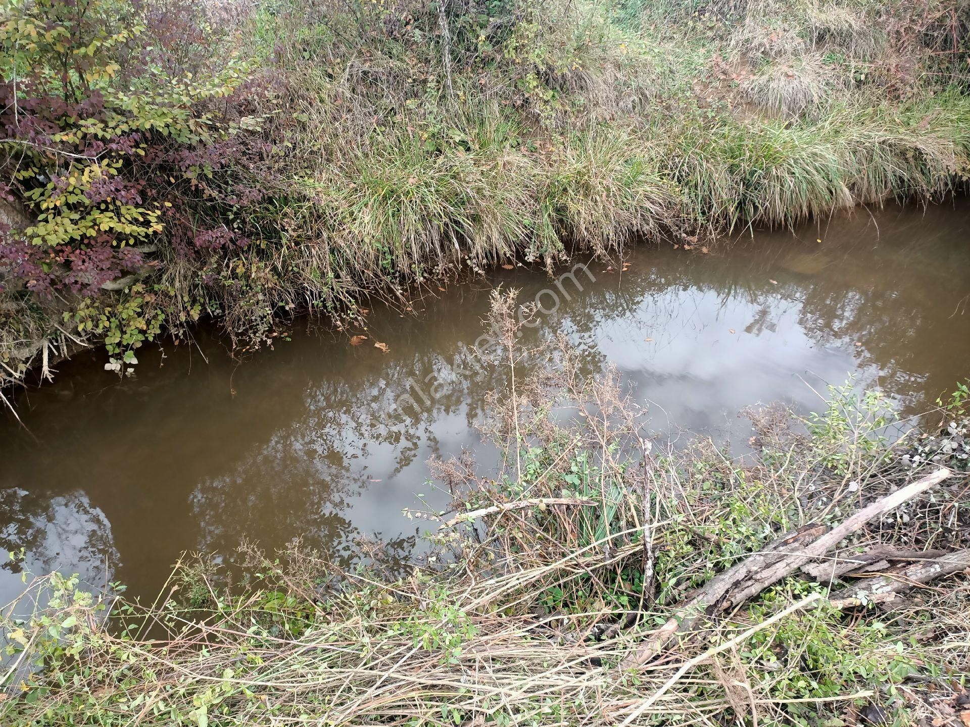 Acil Yatırımlık Veya Konteynır - Görsel 17