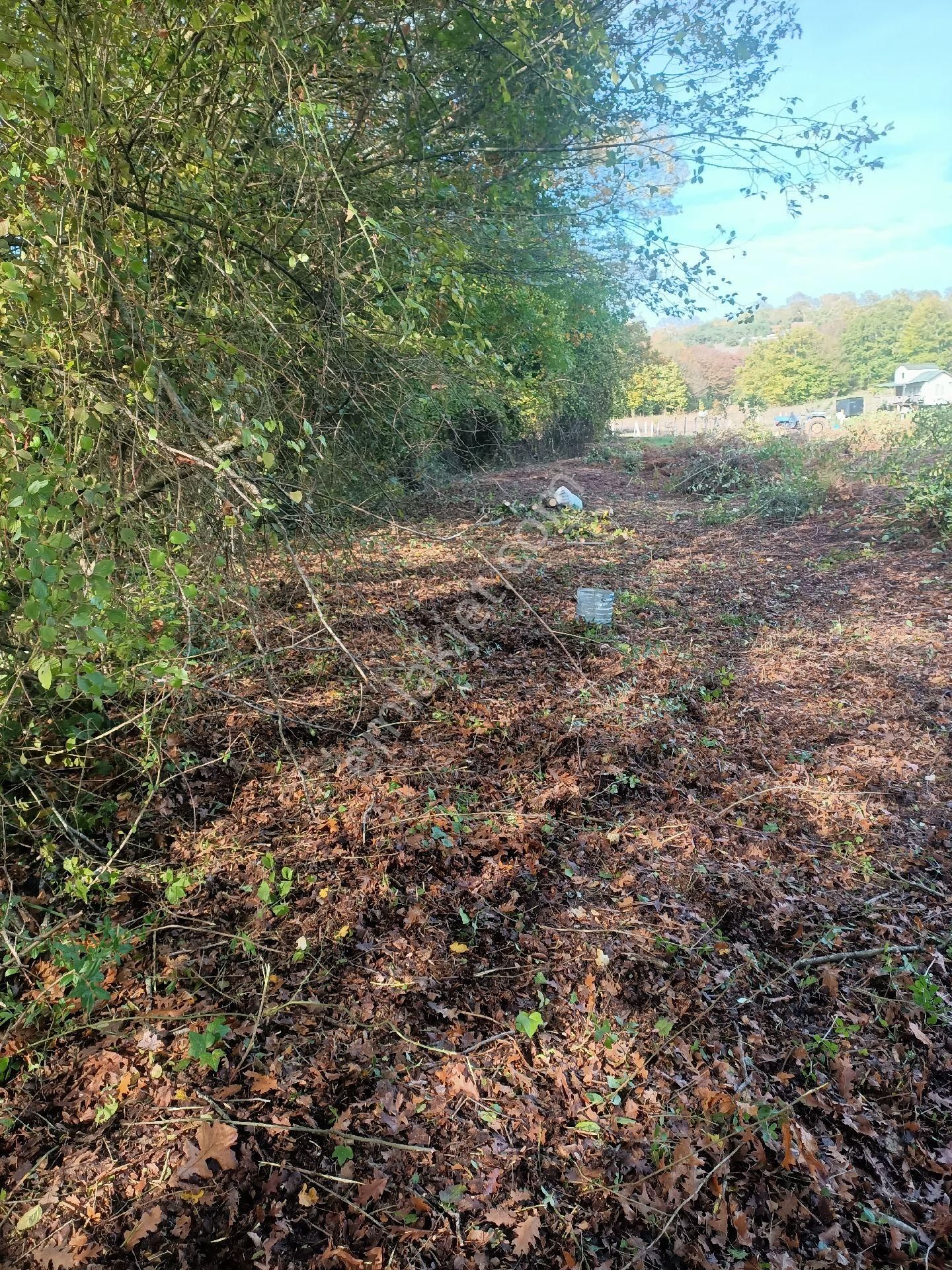 Acil Yatırımlık Veya Konteynır - Görsel 12