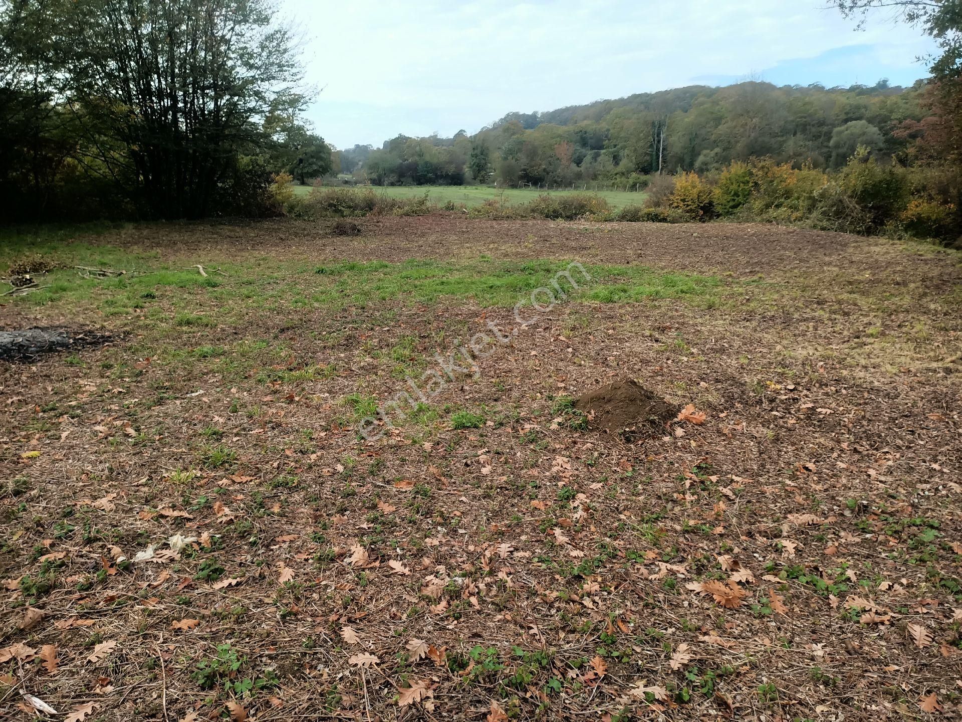 Acil Yatırımlık Veya Konteynır - Görsel 2