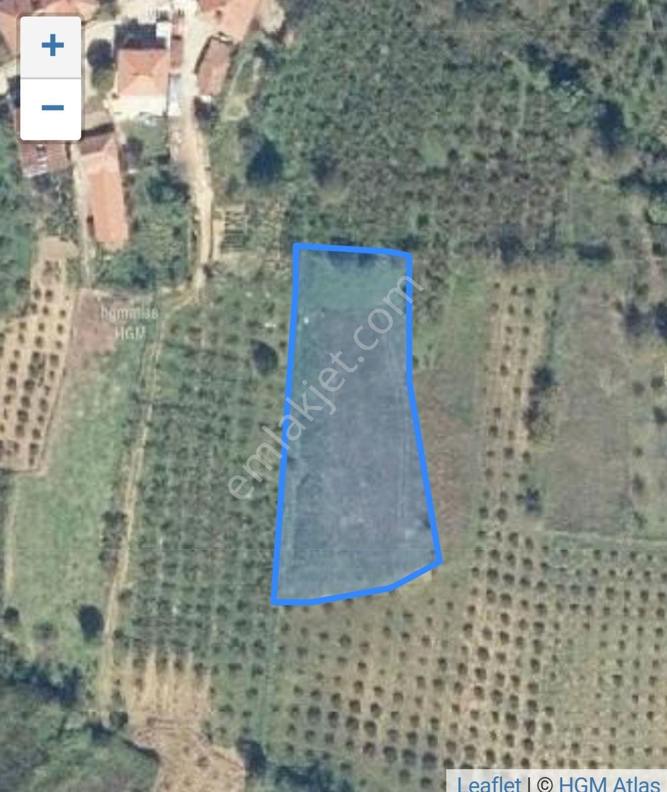 Kocaeli Kandıra'nın Bollu Mahallesinde Satılık Tarla - Görsel 3