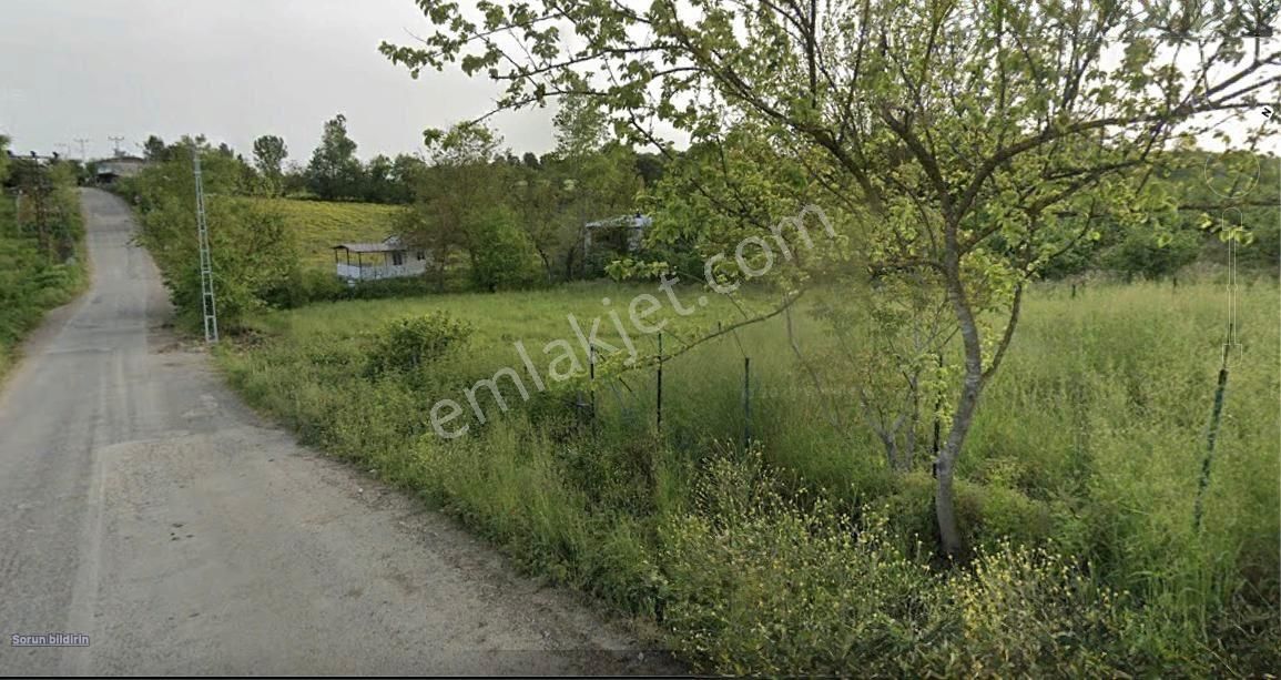 Kocaeli Kırkarmut Satılık Bahçe - Görsel 2