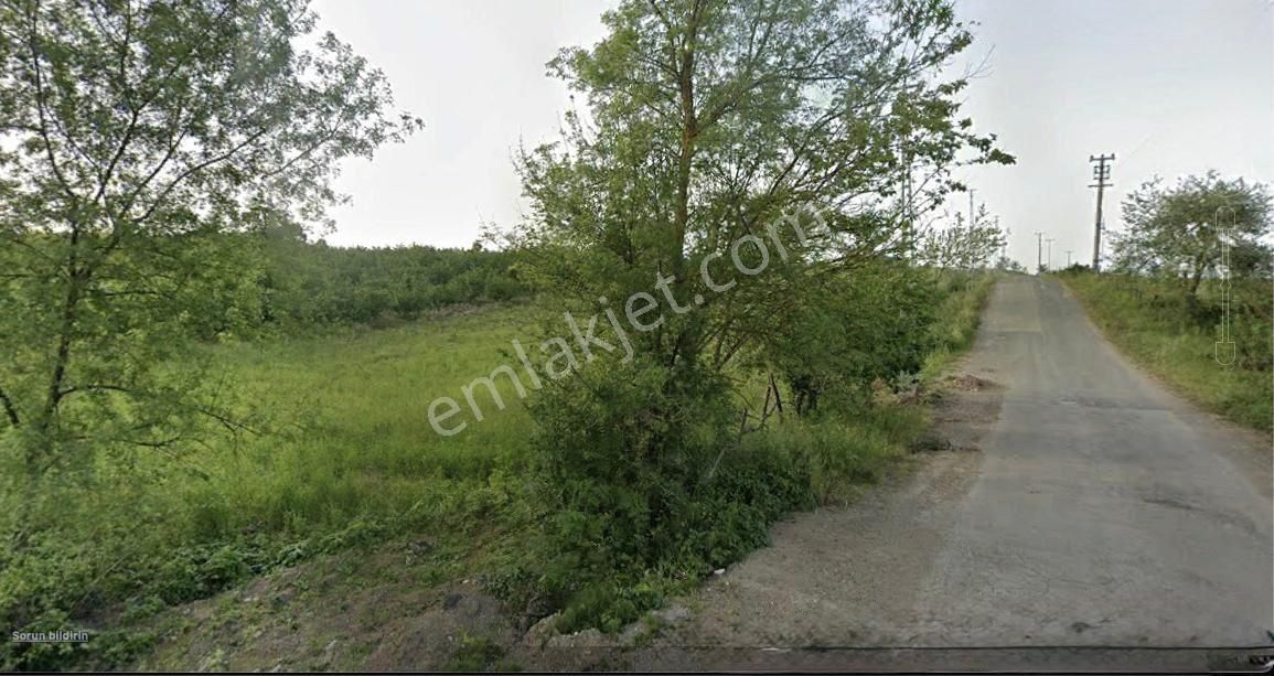 Kocaeli Kırkarmut Satılık Bahçe - Görsel 3