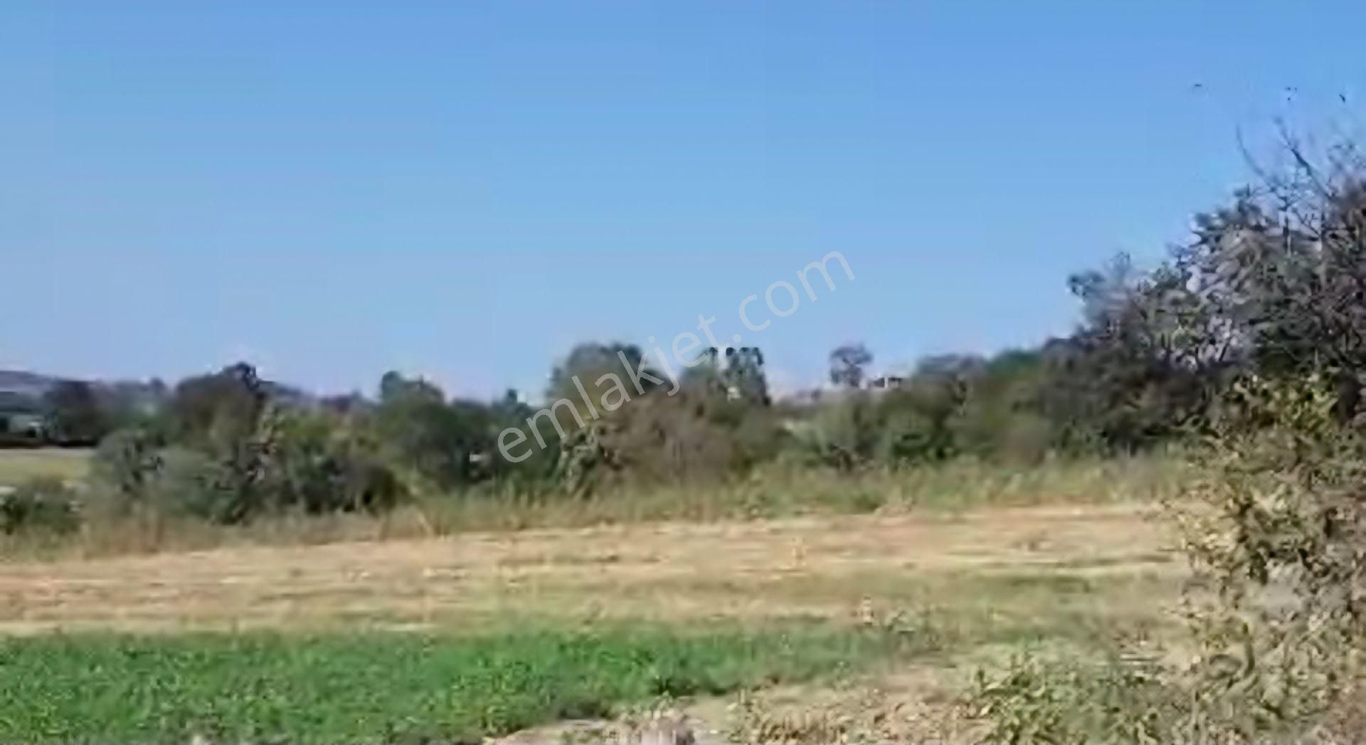 Kocaeli Kandıra'nın Döngelli Mahallesinde Satılık T - Görsel 11