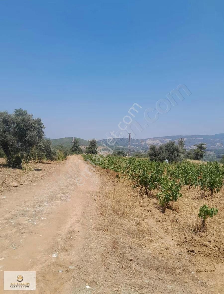 Kuşadası Çınarköyünde Tek Tapu Kadastro Yola Sıfır Satılık Bağ - Görsel 4