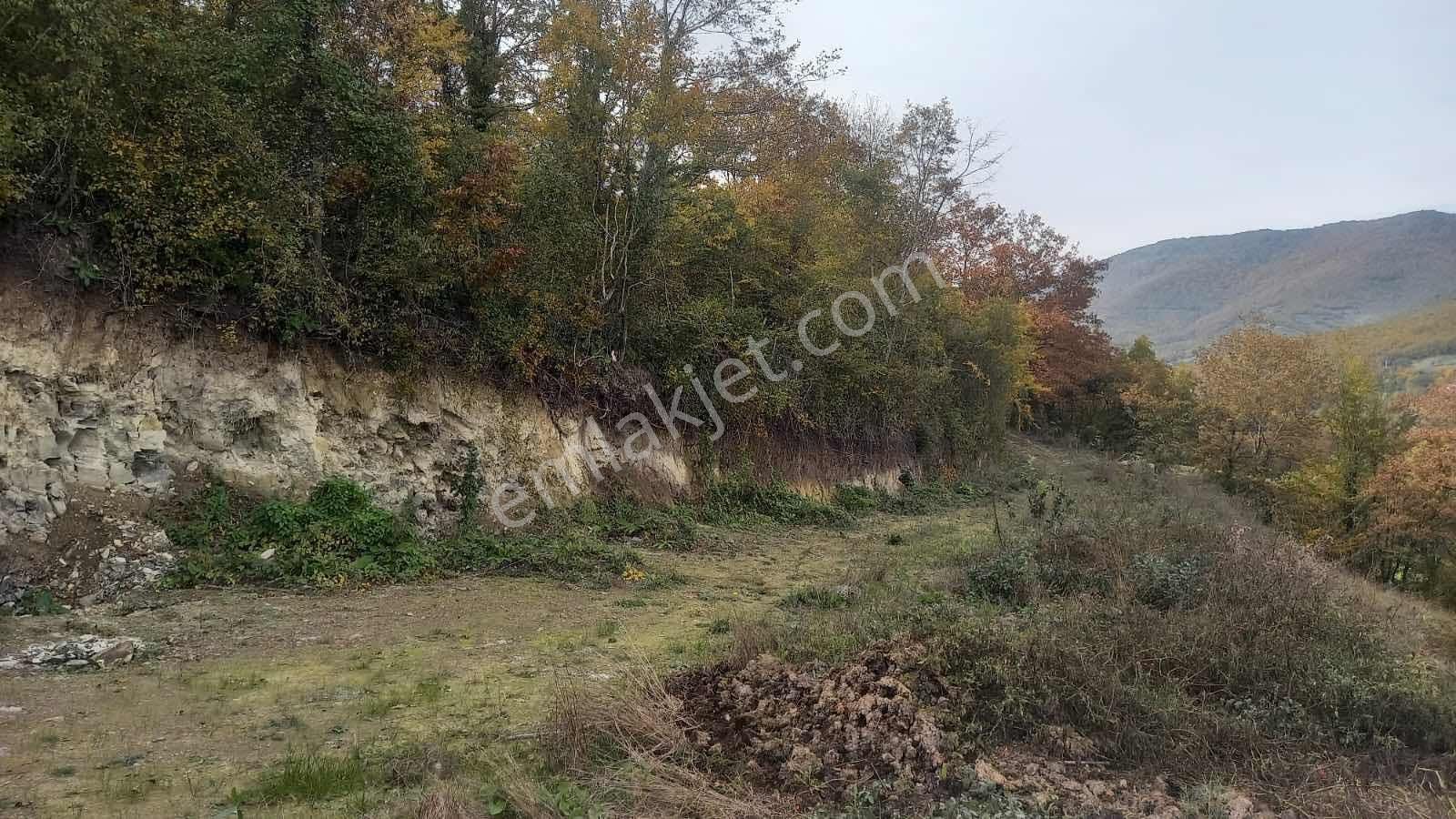 Atakum Akalan'da 3670 M2 Resmi Yola Cephe Doğa Manzaralı Tarla - Görsel 8