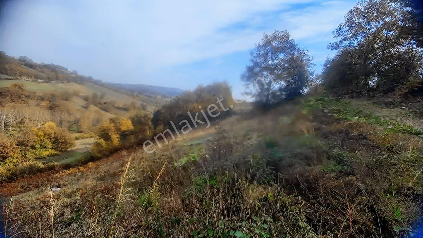 Atakum Akalan'da 3670 M2 Resmi Yola Cephe Doğa Manzaralı Tarla - Görsel 11